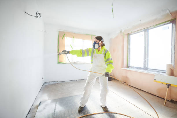 Best Mold Prevention Services  in Port Neches, TX