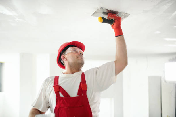 Best Comprehensive Air Testing for Mold Contaminants  in Port Neches, TX