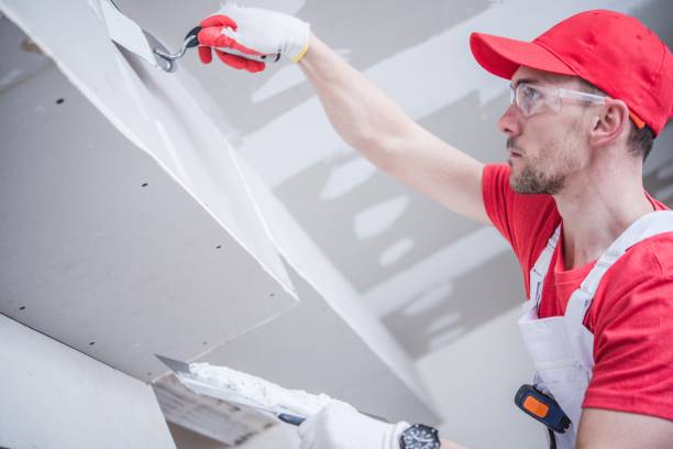 Best Black Mold Removal  in Port Neches, TX